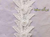 10655 سقید برگی