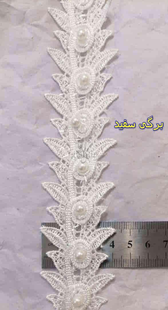 10655 سقید برگی